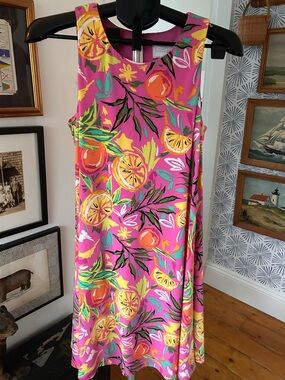 Papagallo Sleeveless Pink Tropical Citrus Print Dress Stretch Size Small